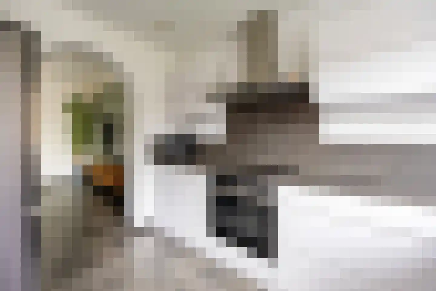 Meeuwstraat 14 Bergen L thumbnail 15