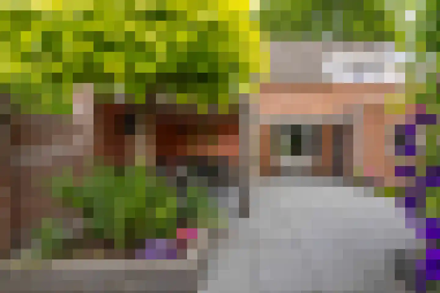 Meeuwstraat 14 Bergen L thumbnail 27