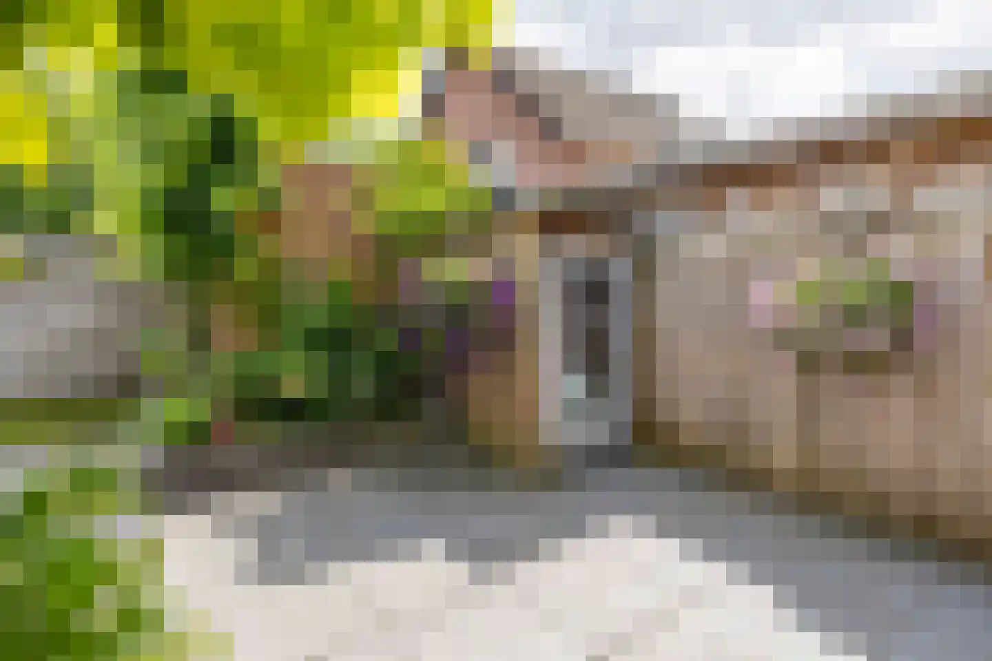 Meeuwstraat 14 Bergen L thumbnail 32
