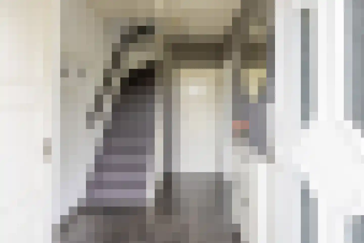 Meeuwstraat 14 Bergen L thumbnail 7