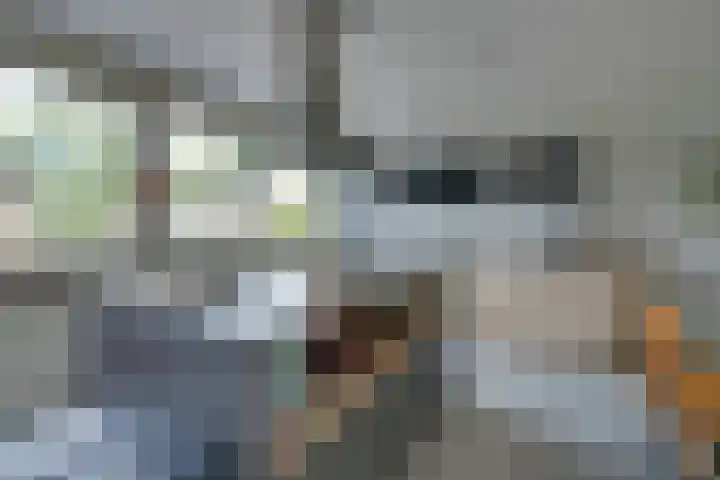 Meeuwstraat 140 Purmerend thumbnail 21