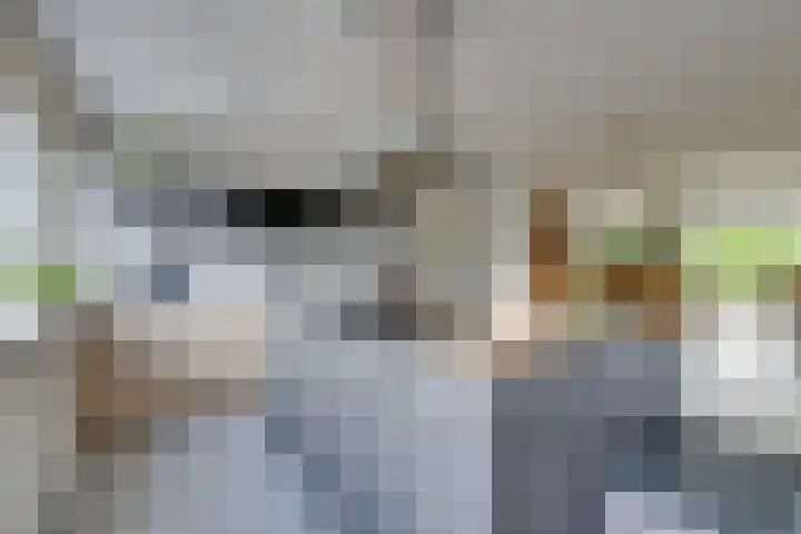 Meeuwstraat 140 Purmerend thumbnail 22