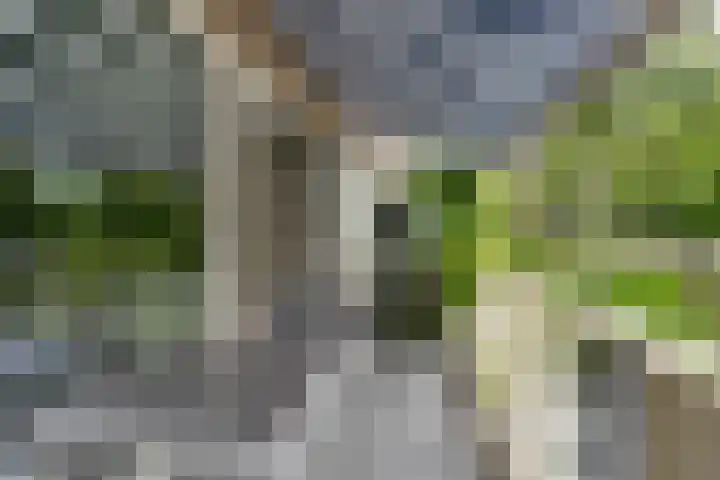 Meeuwstraat 140 Purmerend thumbnail 28
