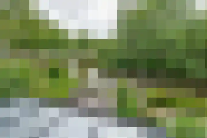Meeuwstraat 140 Purmerend thumbnail 29