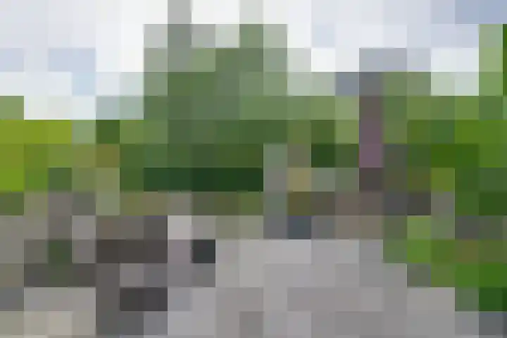 Meeuwstraat 140 Purmerend thumbnail 53