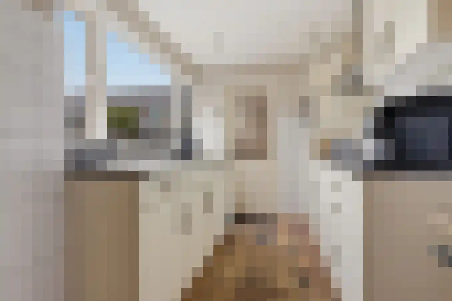 Meeuwstraat 18 Jisp thumbnail 11