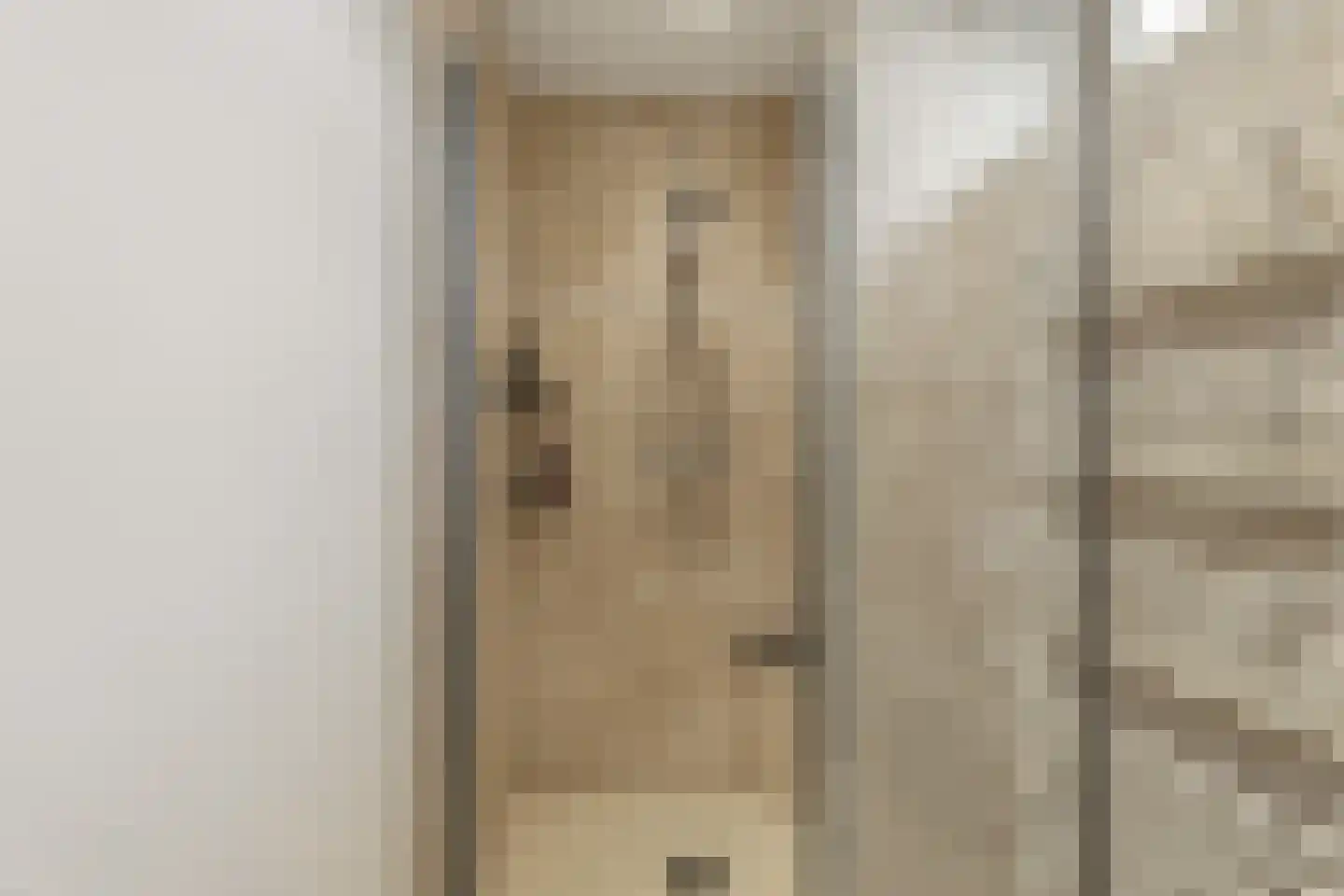 Meeuwstraat 18 Jisp thumbnail 21