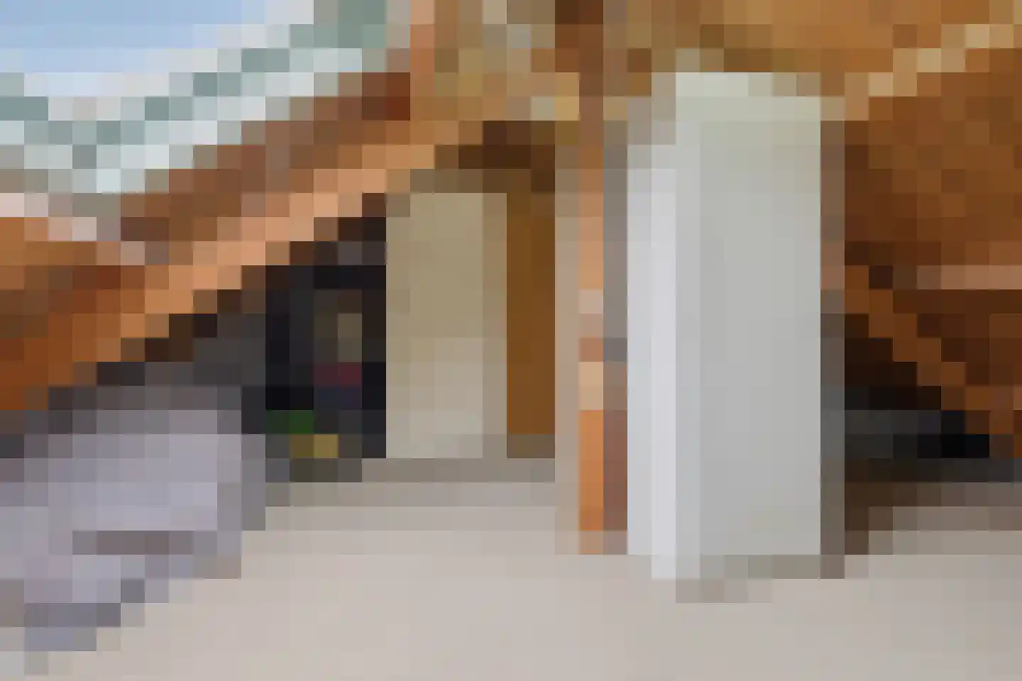 Meeuwstraat 18 Jisp thumbnail 27