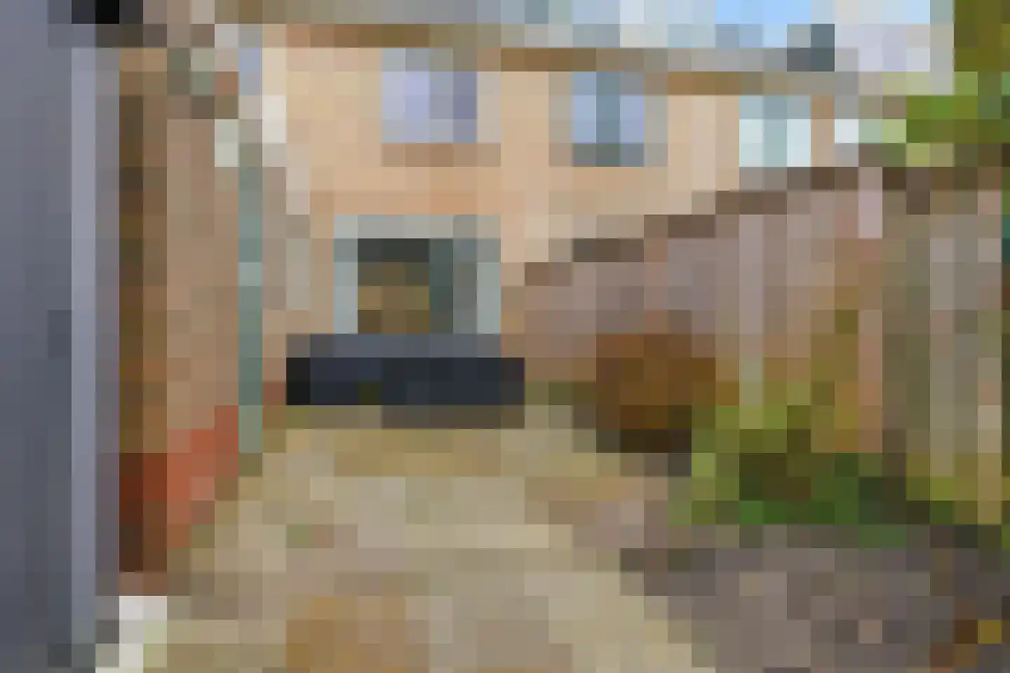 Meeuwstraat 18 Jisp thumbnail 29