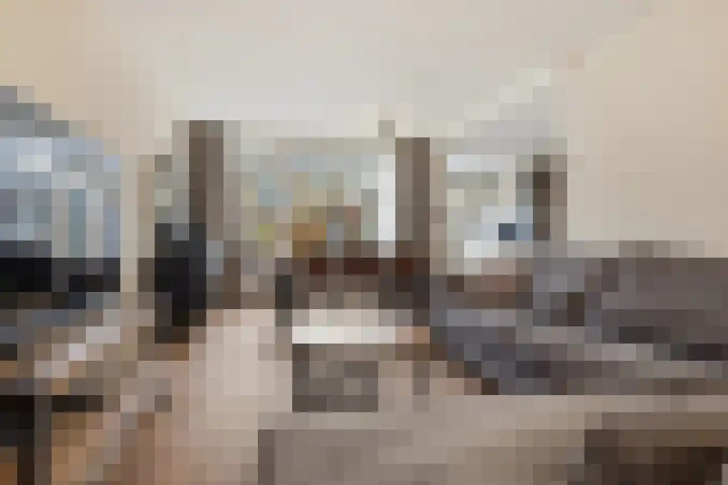 Meeuwstraat 18 Jisp thumbnail 7