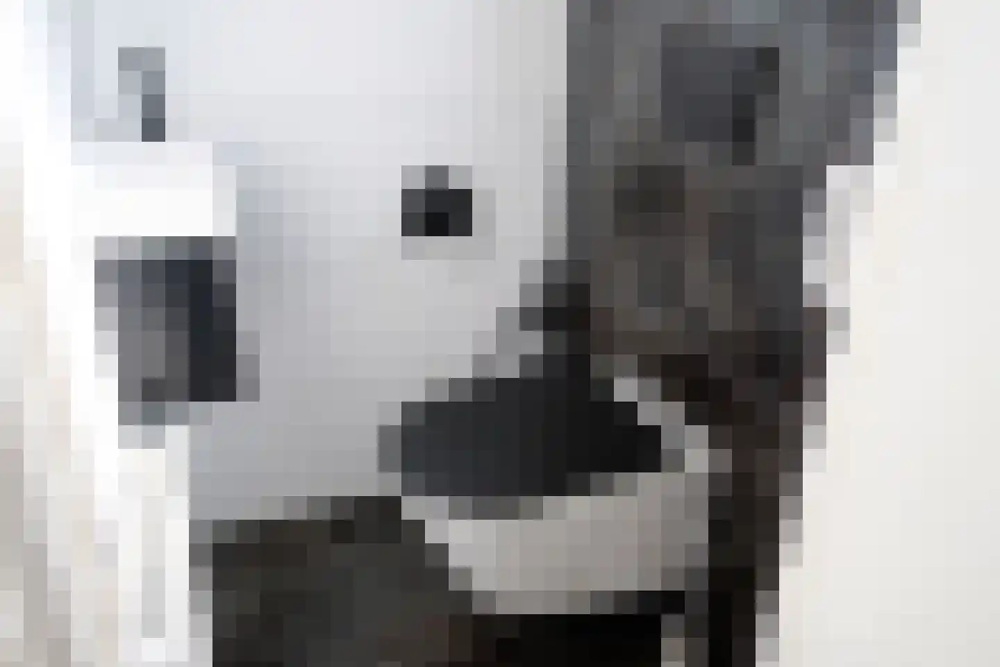 Meeuwstraat 18 Tiel thumbnail 6