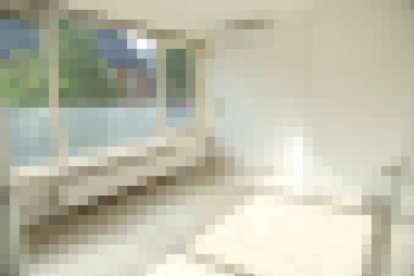Meeuwstraat 18 Tiel thumbnail 7