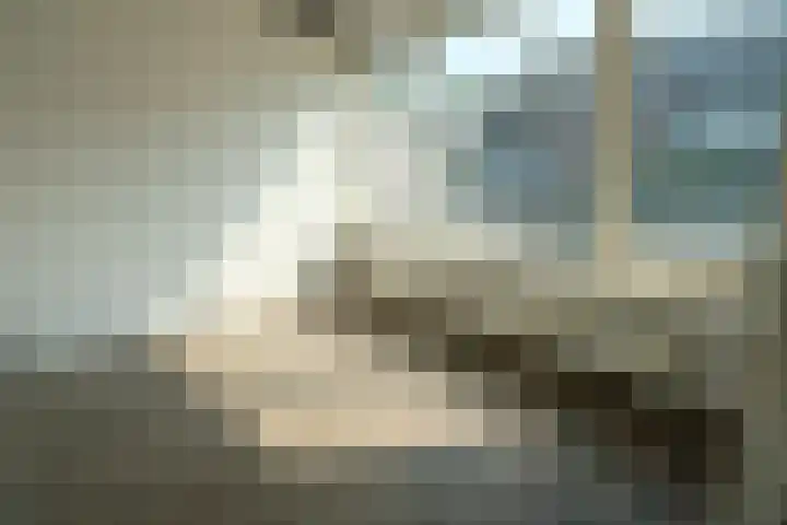 Meeuwstraat 24 Tiel thumbnail 7