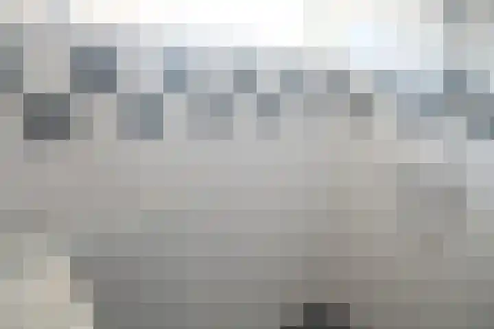 Meeuwstraat 24 Tiel thumbnail 9