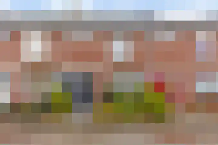 Meeuwstraat 27 Helmond thumbnail 7