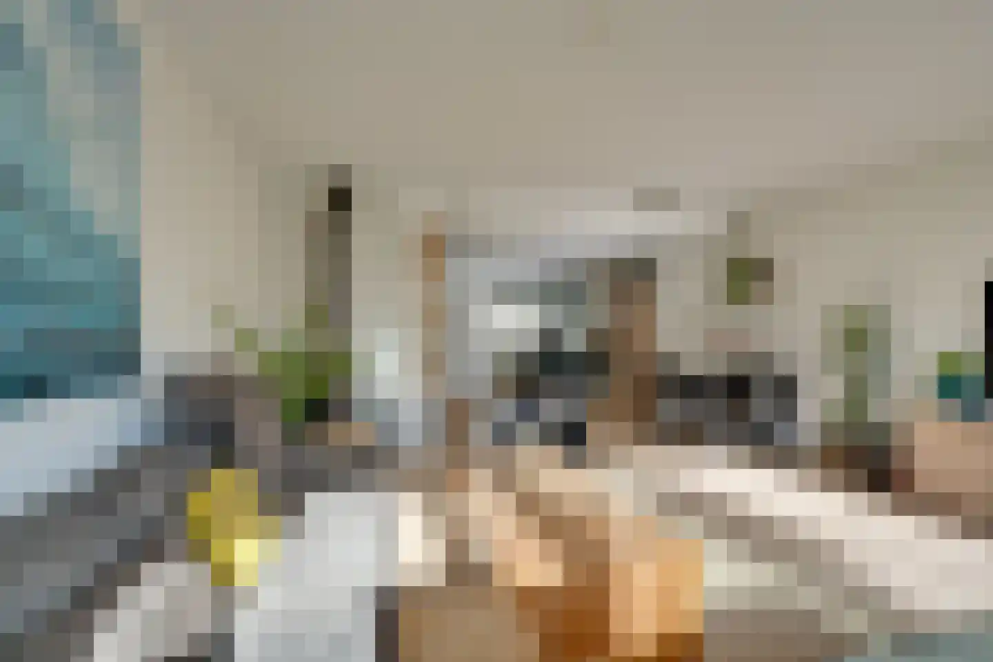 Meeuwstraat 28 Purmerend thumbnail 18