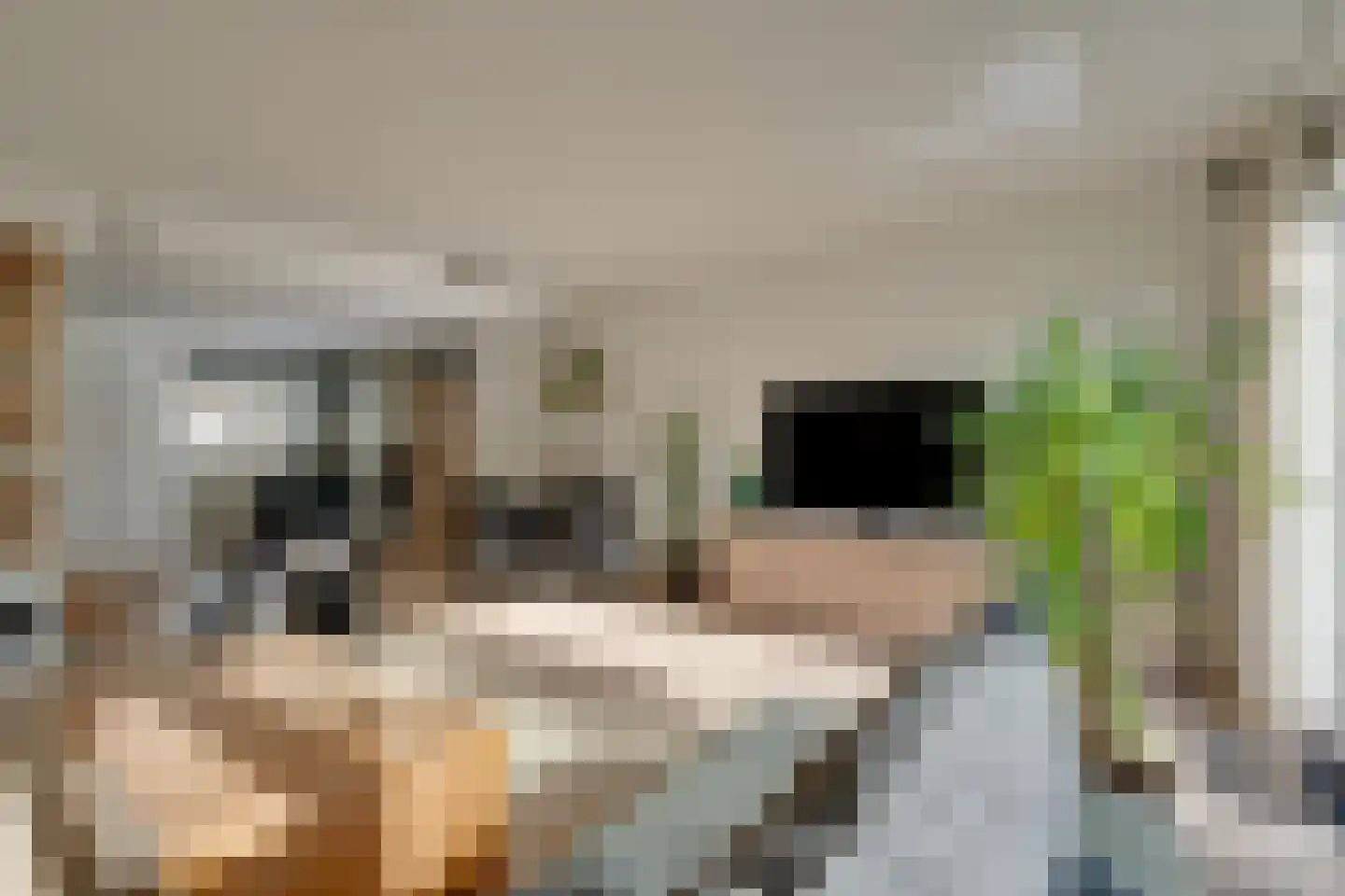 Meeuwstraat 28 Purmerend thumbnail 19