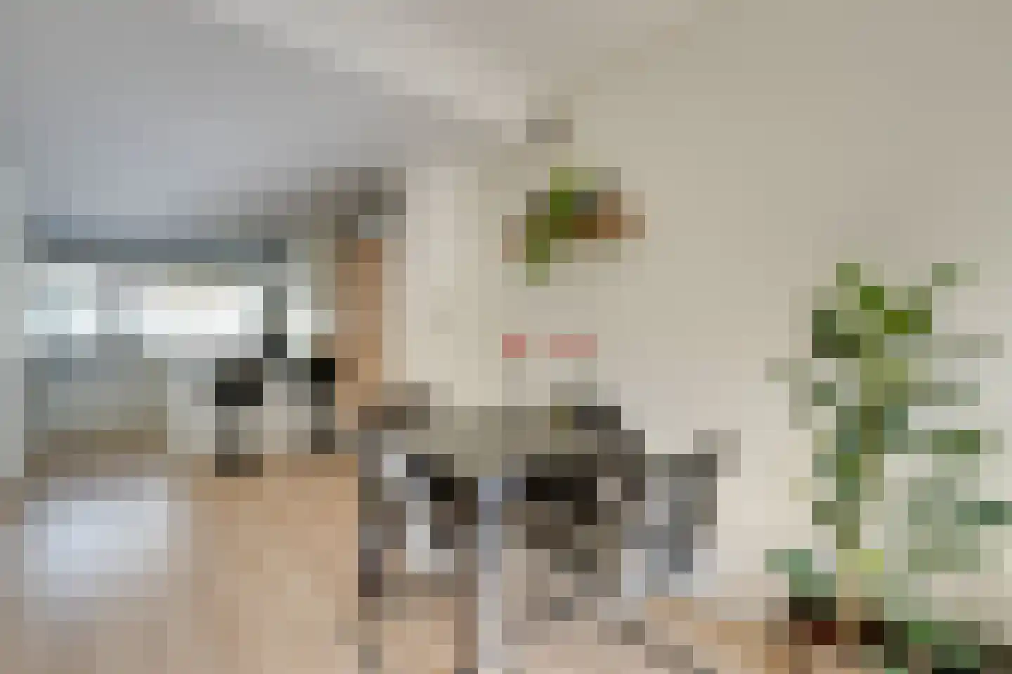 Meeuwstraat 28 Purmerend thumbnail 20
