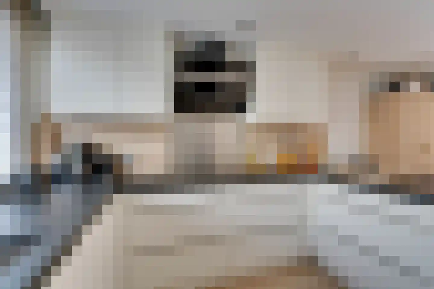 Meeuwstraat 28 Purmerend thumbnail 24