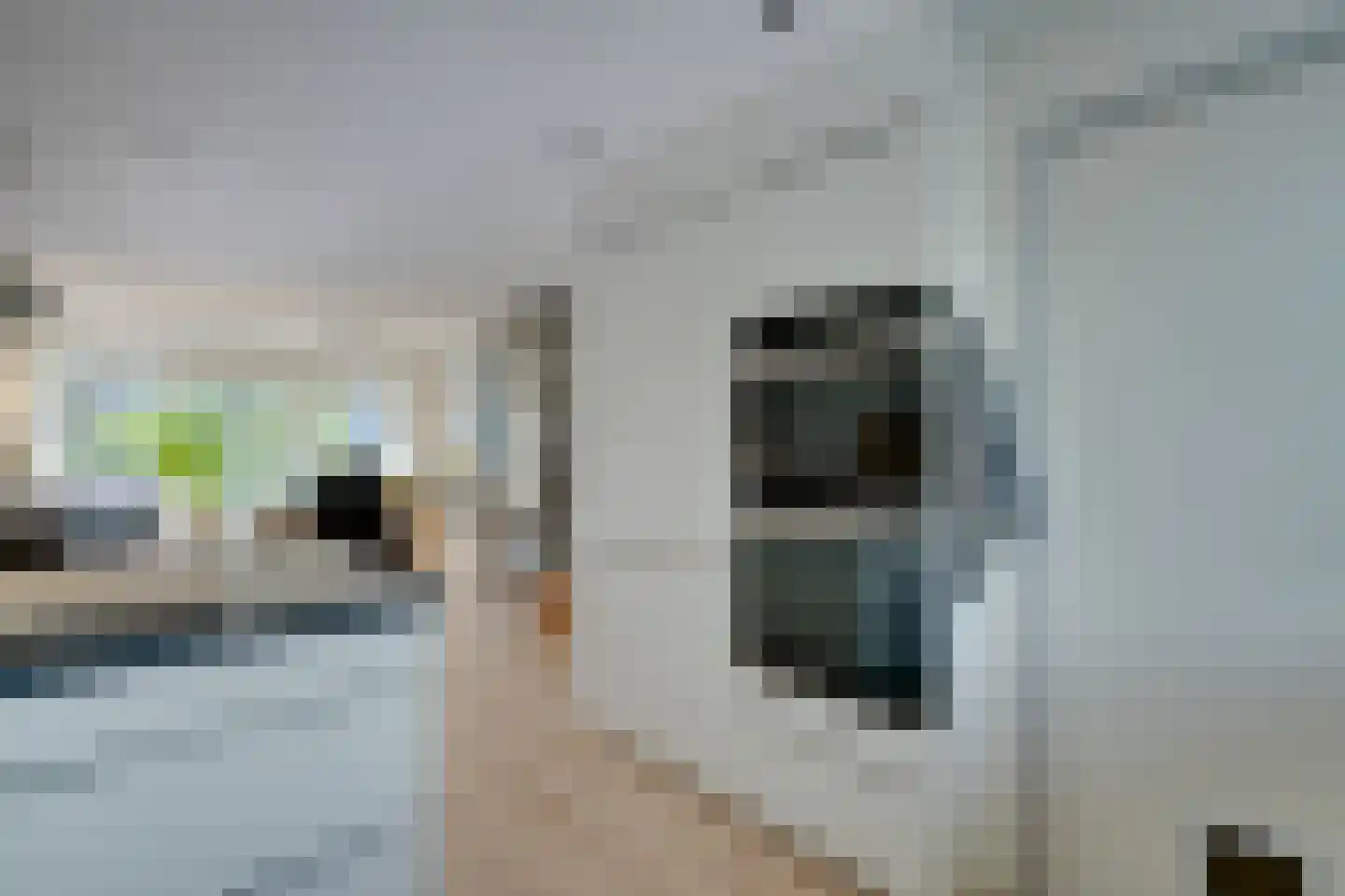 Meeuwstraat 28 Purmerend thumbnail 25