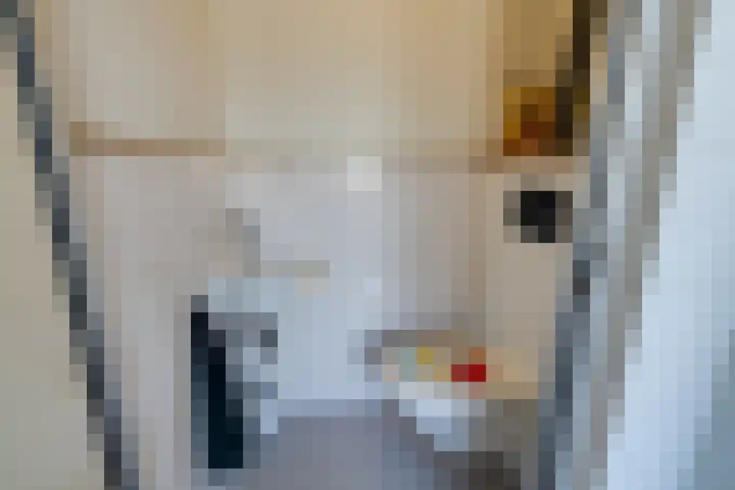 Meeuwstraat 28 Purmerend thumbnail 27