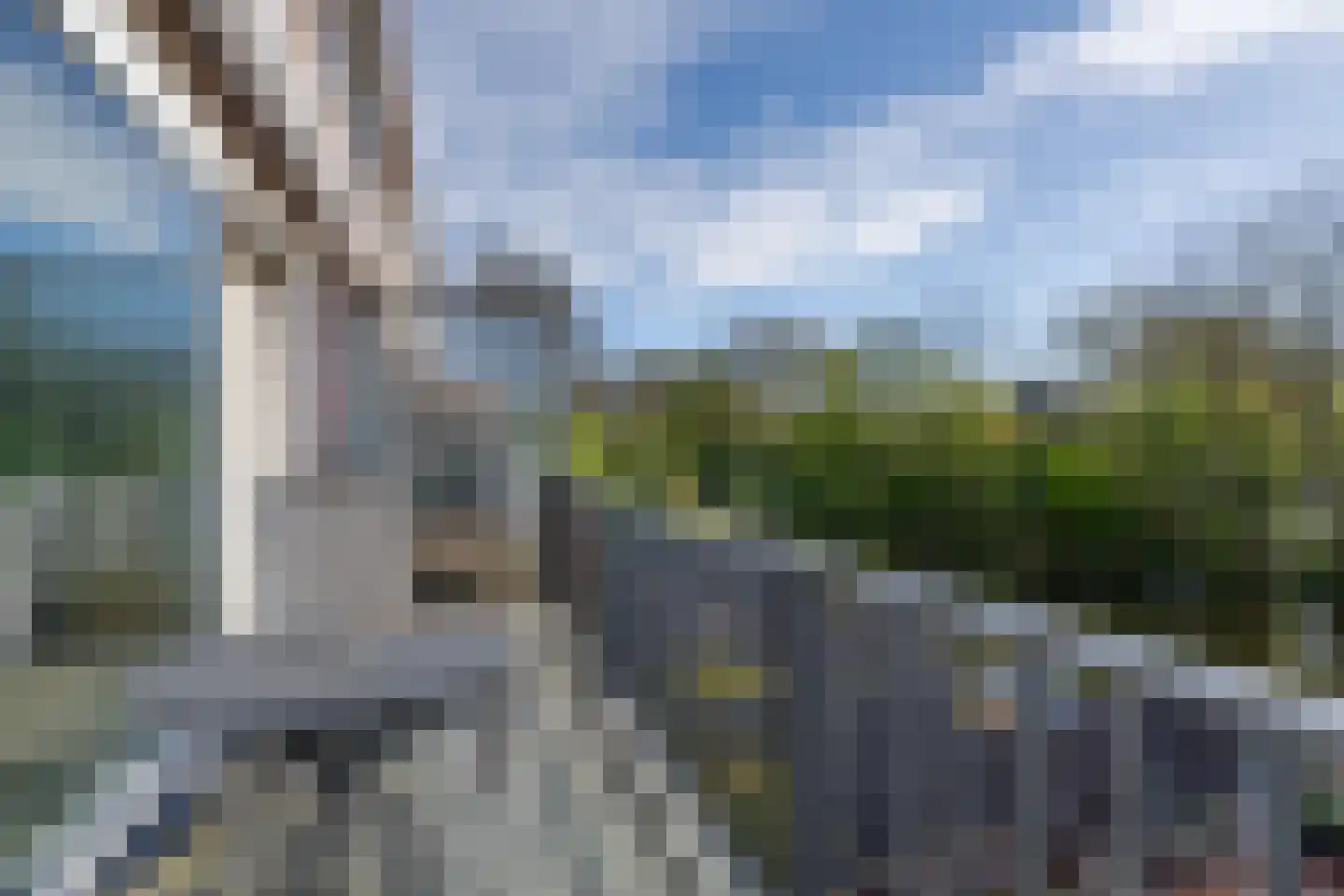 Meeuwstraat 28 Purmerend thumbnail 29