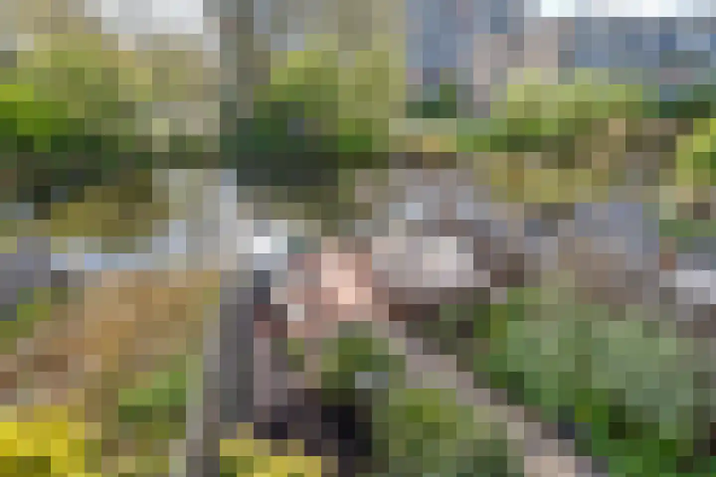 Meeuwstraat 28 Purmerend thumbnail 30