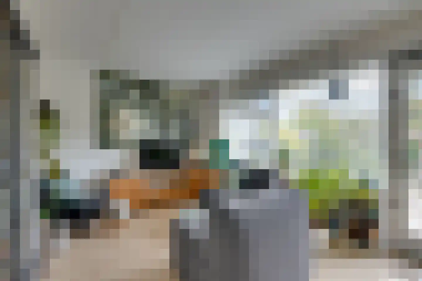 Meeuwstraat 28 Purmerend thumbnail 32