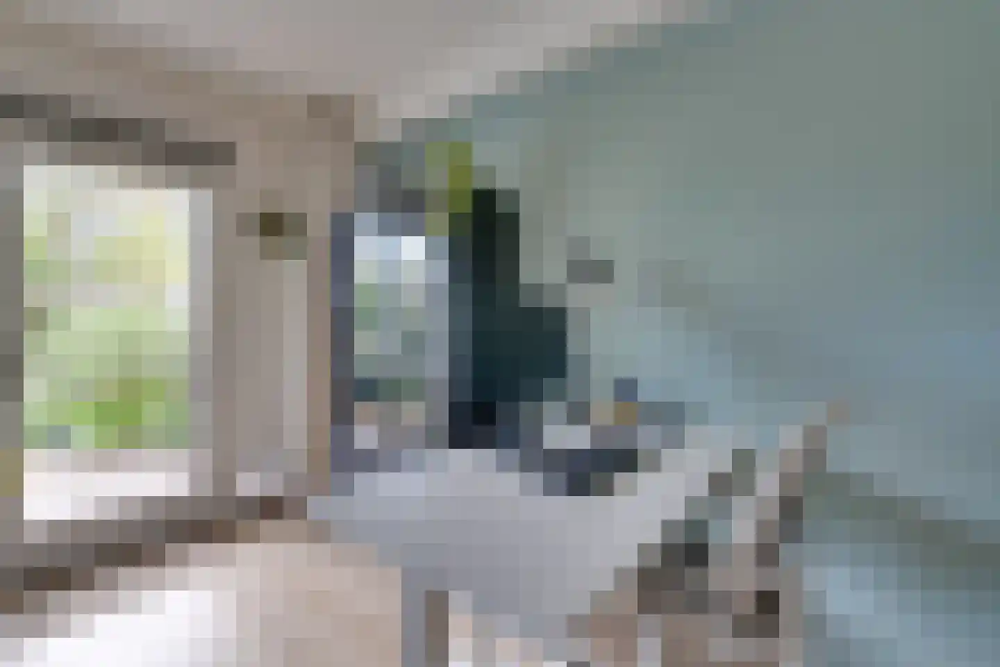 Meeuwstraat 28 Purmerend thumbnail 35