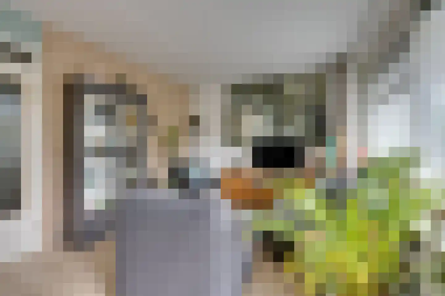 Meeuwstraat 28 Purmerend thumbnail 36