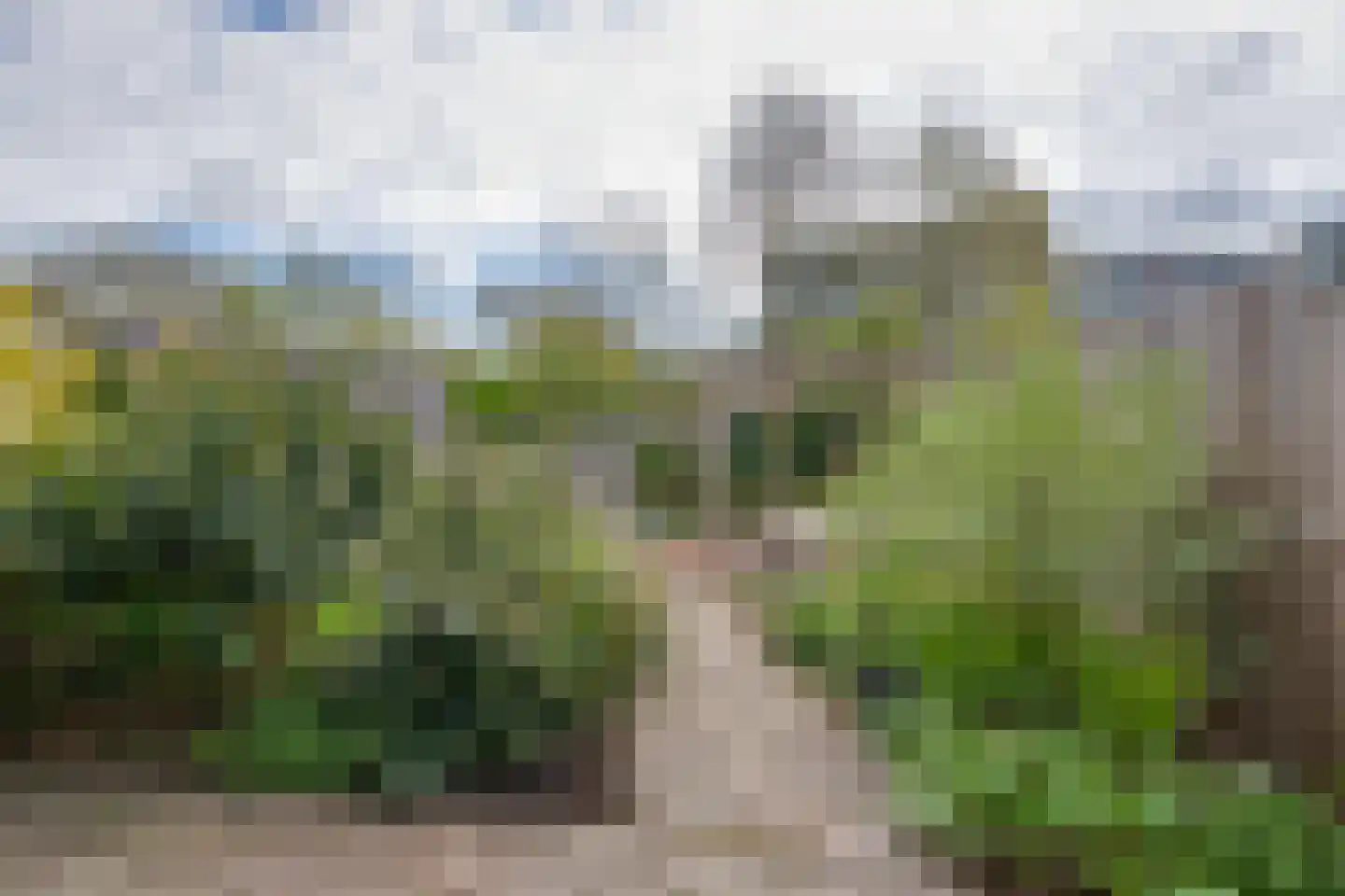 Meeuwstraat 28 Purmerend thumbnail 37