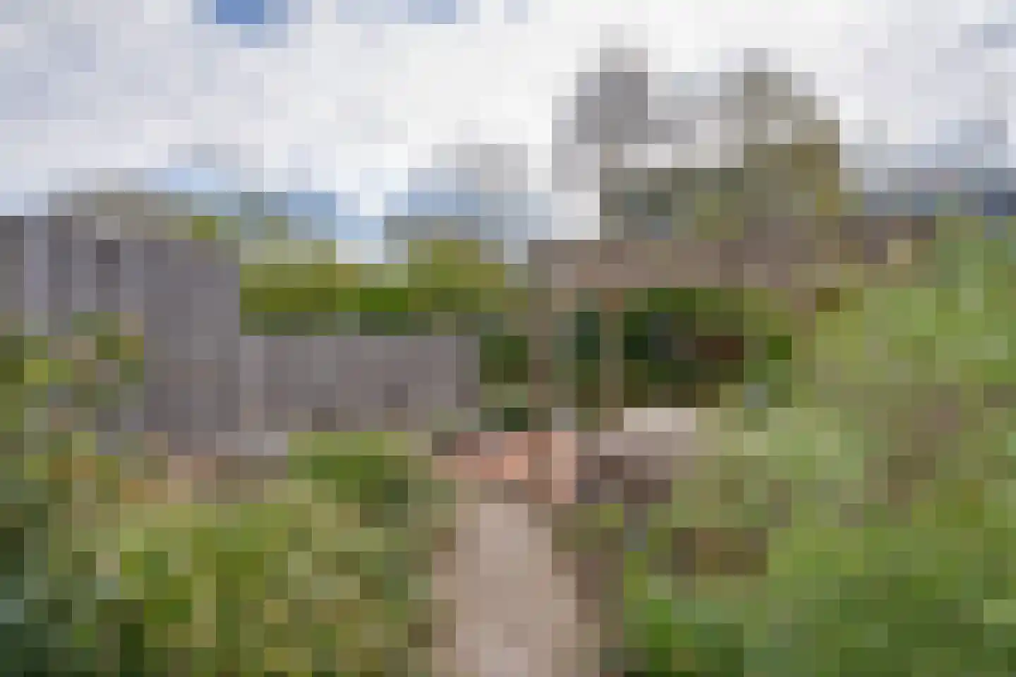 Meeuwstraat 28 Purmerend thumbnail 38