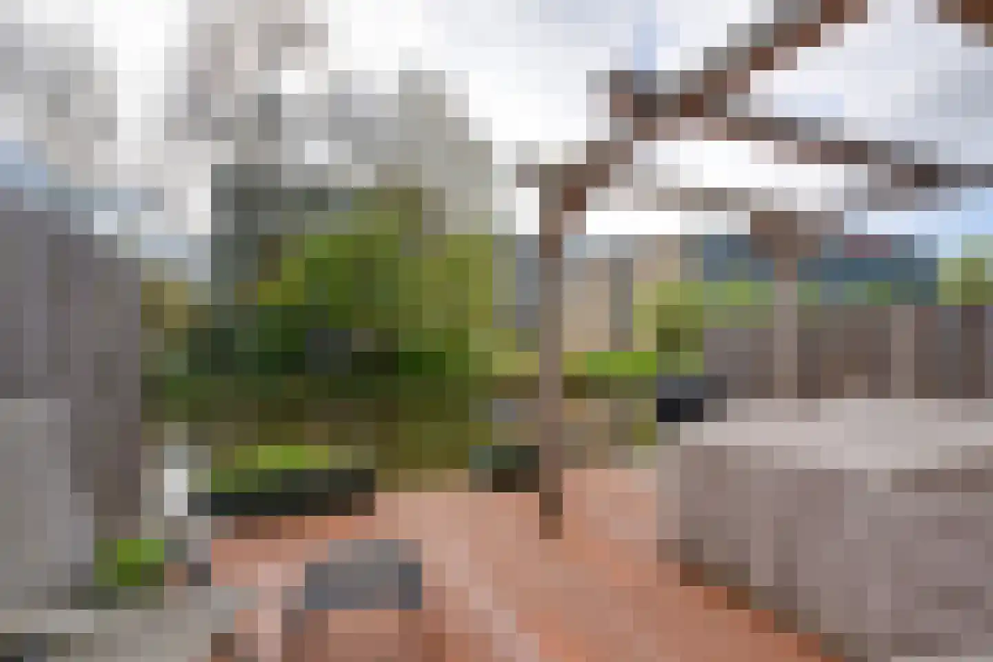 Meeuwstraat 28 Purmerend thumbnail 39