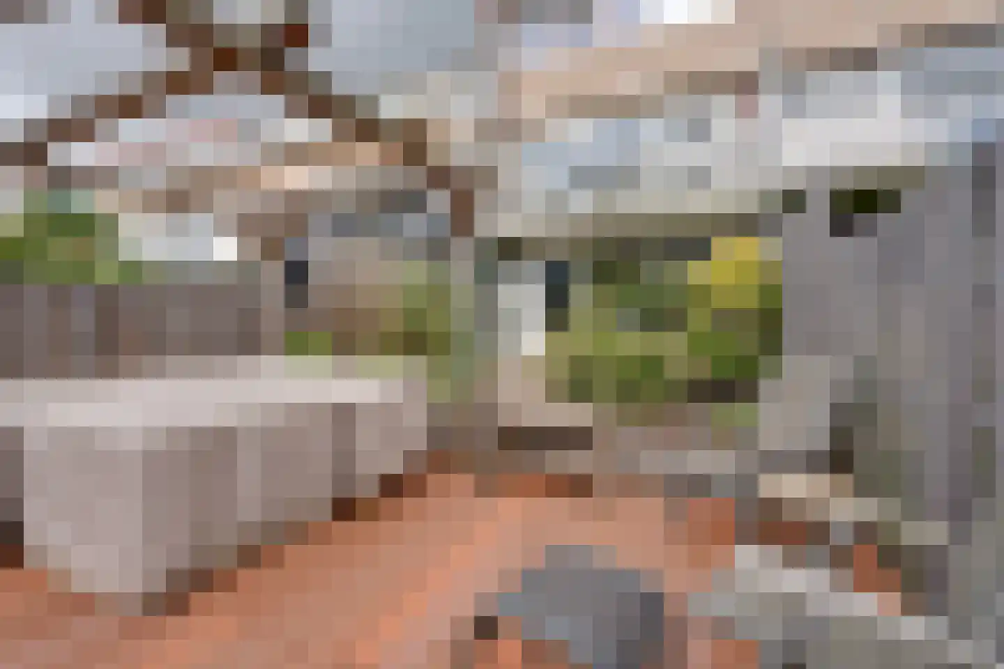 Meeuwstraat 28 Purmerend thumbnail 42