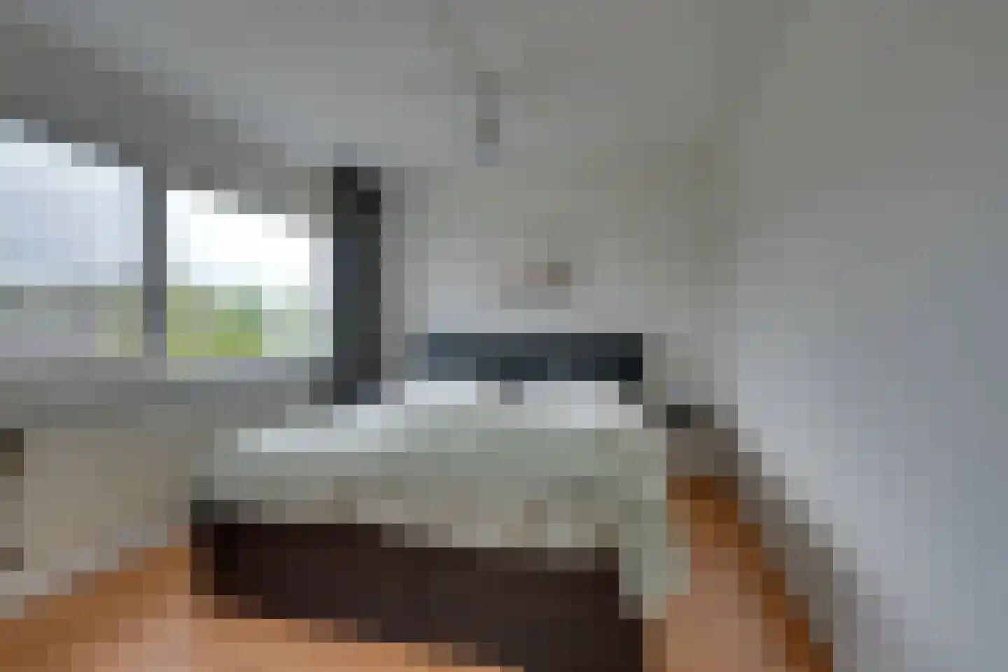 Meeuwstraat 28 Purmerend thumbnail 45