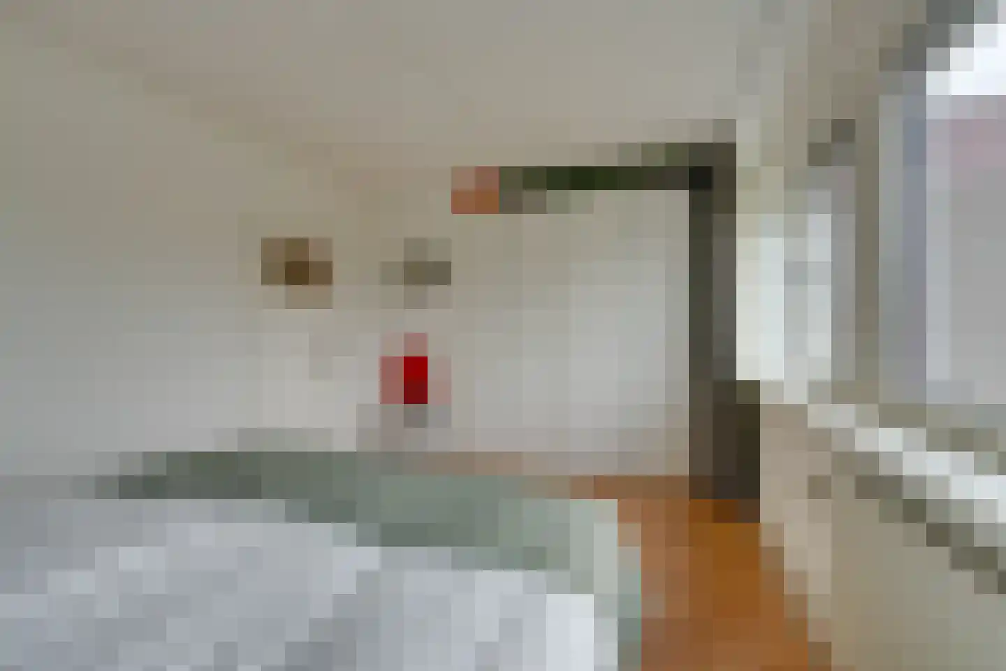 Meeuwstraat 28 Purmerend thumbnail 47