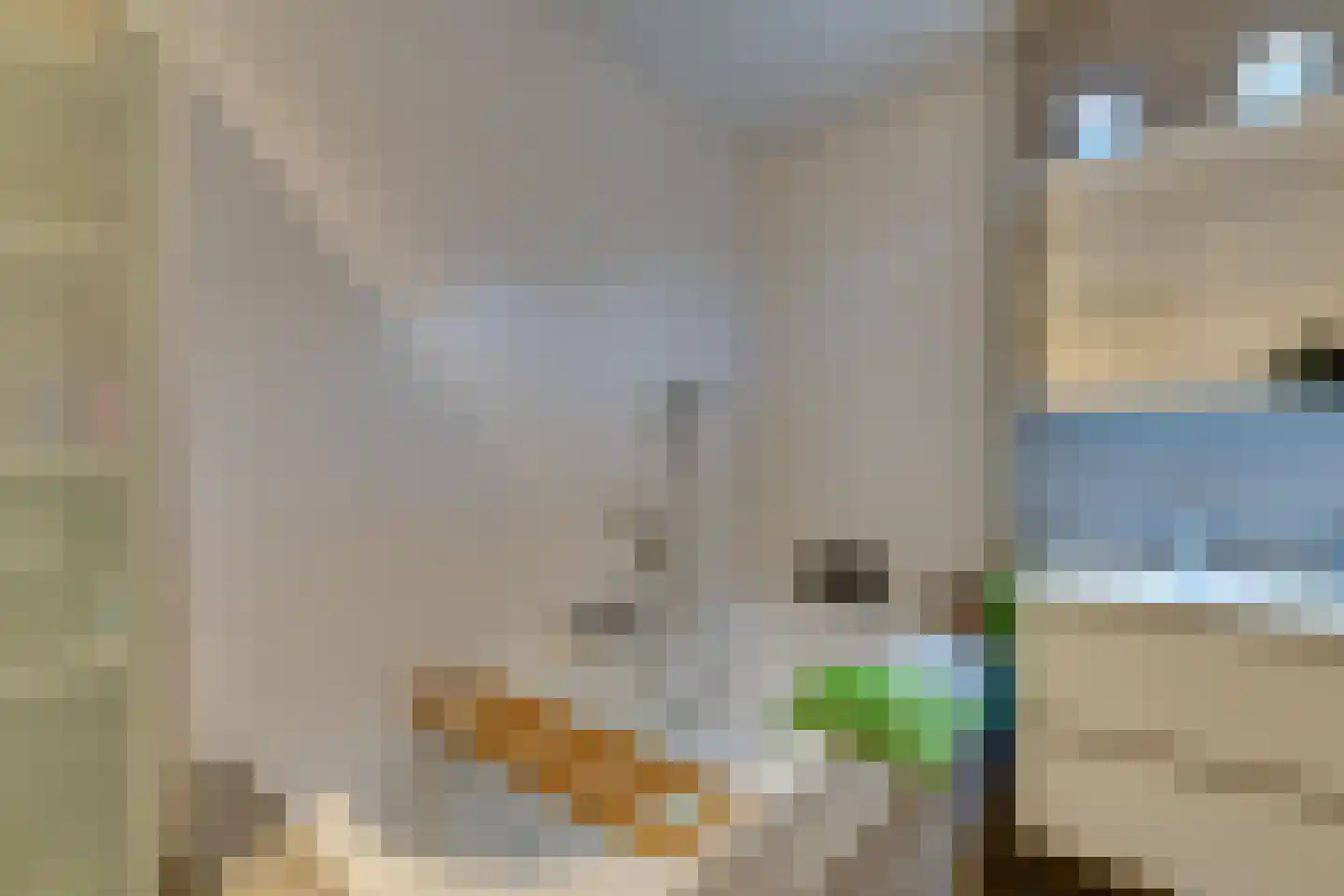 Meeuwstraat 28 Purmerend thumbnail 54