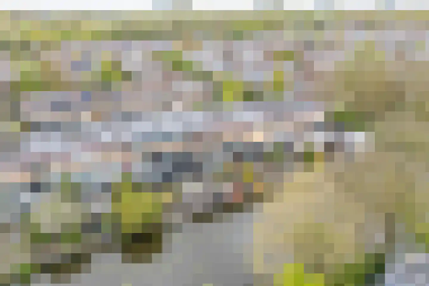 Meeuwstraat 28 Purmerend thumbnail 59