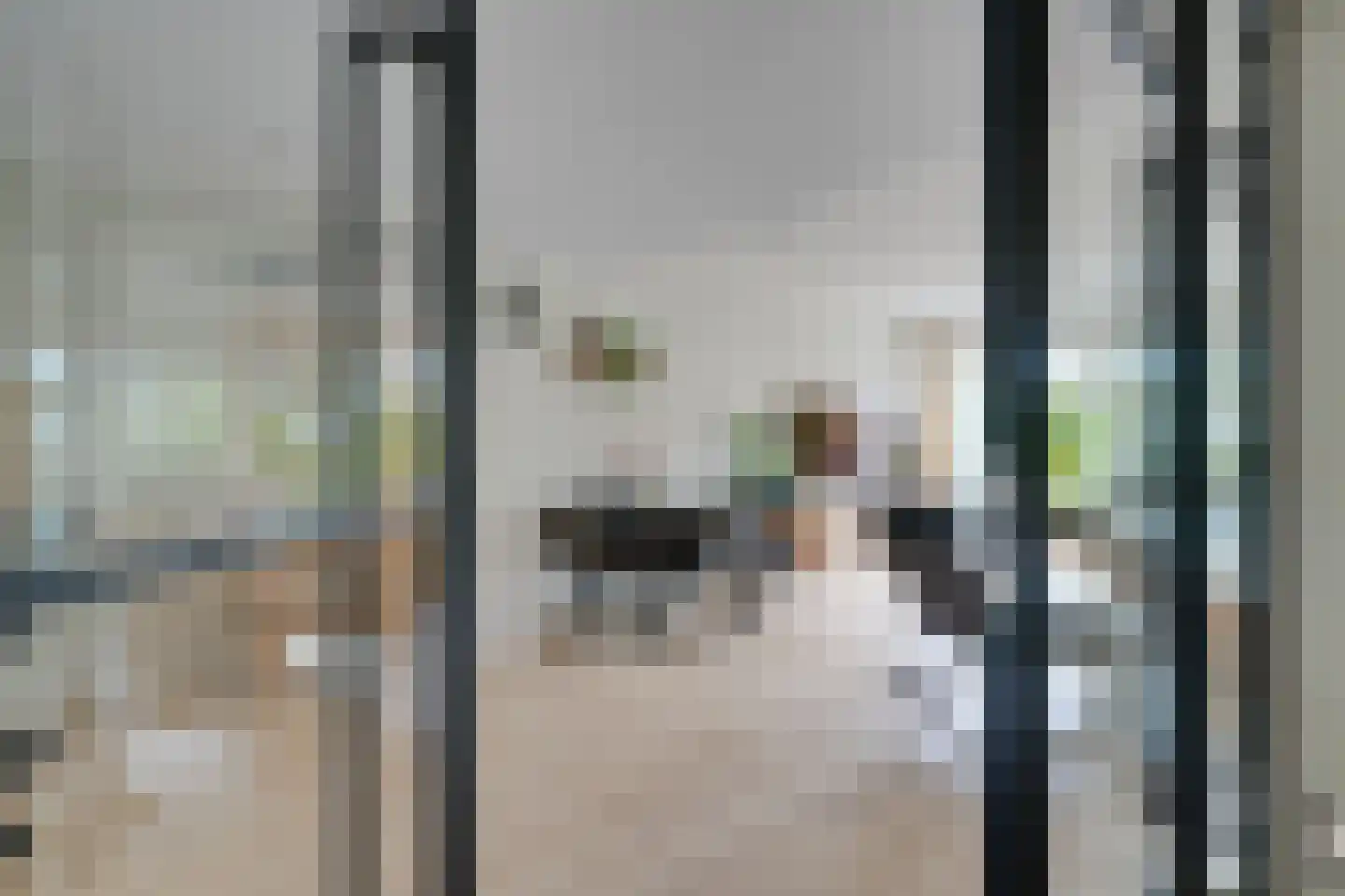 Meeuwstraat 28 Purmerend thumbnail 9