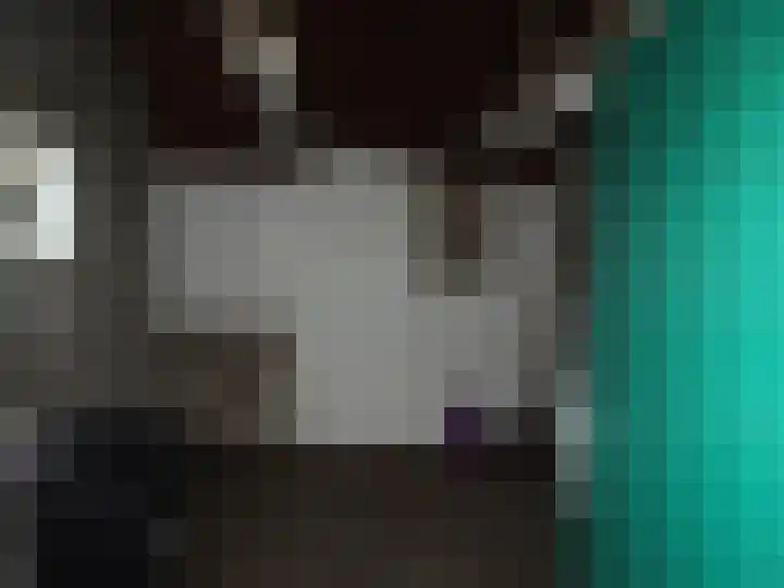 Meeuwstraat 45 Wieringerwerf thumbnail 19