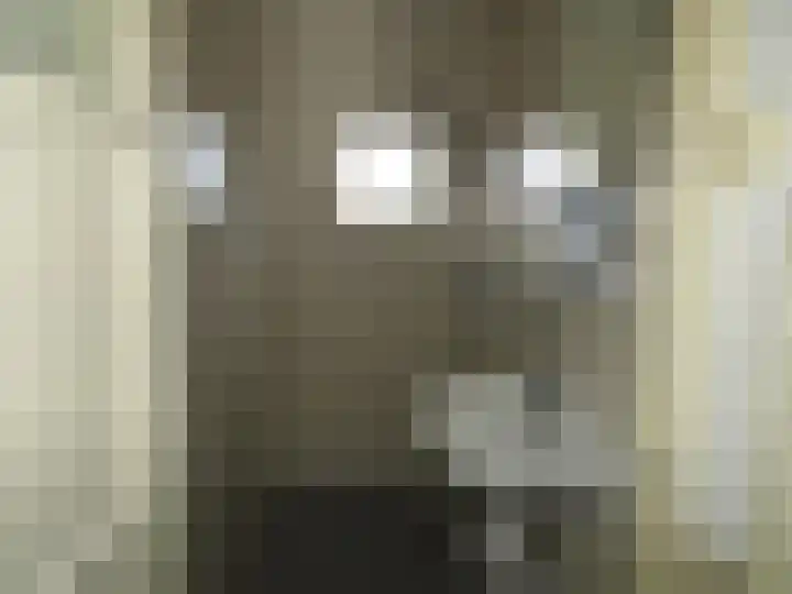 Meeuwstraat 45 Wieringerwerf thumbnail 4