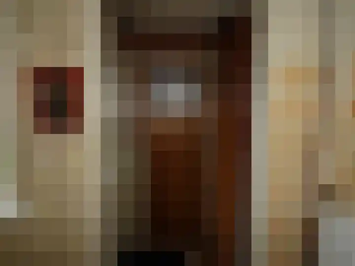 Meeuwstraat 45 Wieringerwerf thumbnail 9