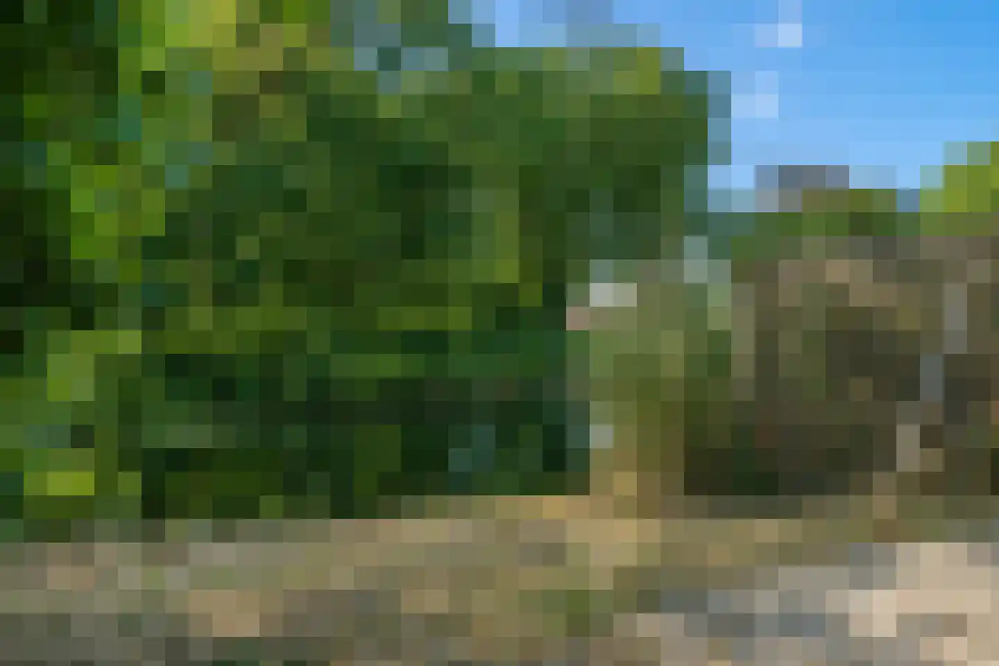 Meeuwstraat 78 Purmerend thumbnail 26