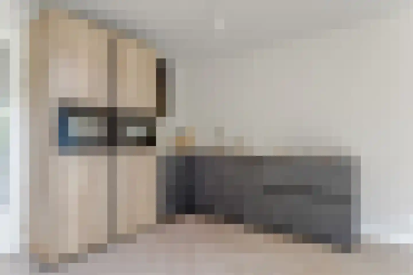 Meeuwstraat 78 Purmerend thumbnail 4