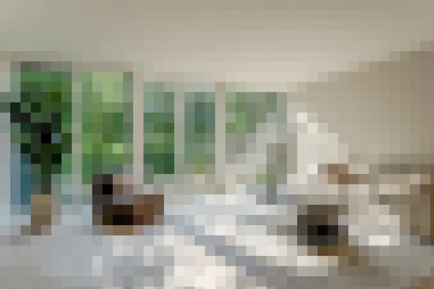 Meeuwstraat 78 Purmerend thumbnail 8