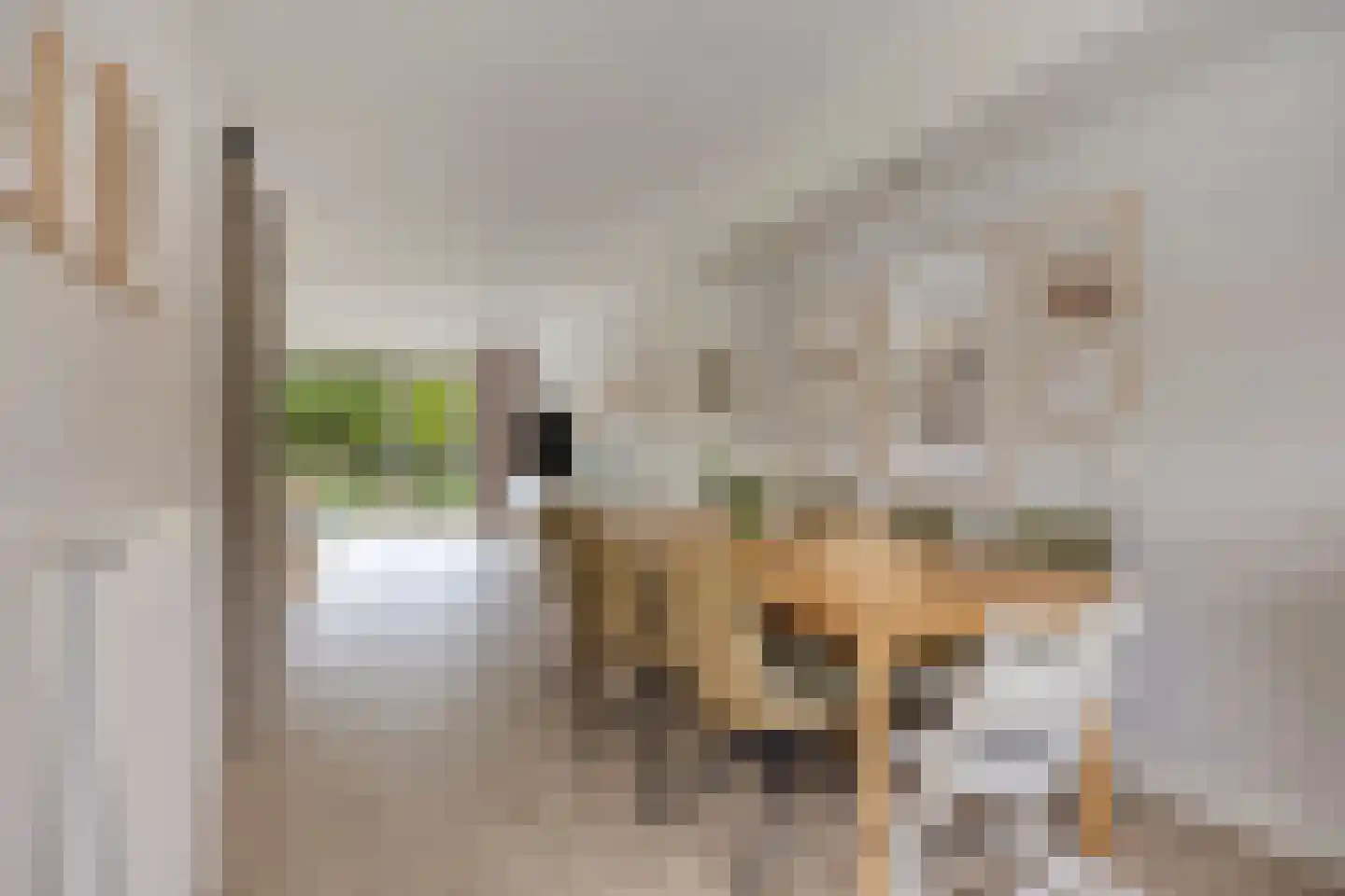 Meeuwstraat 86 Purmerend thumbnail 16