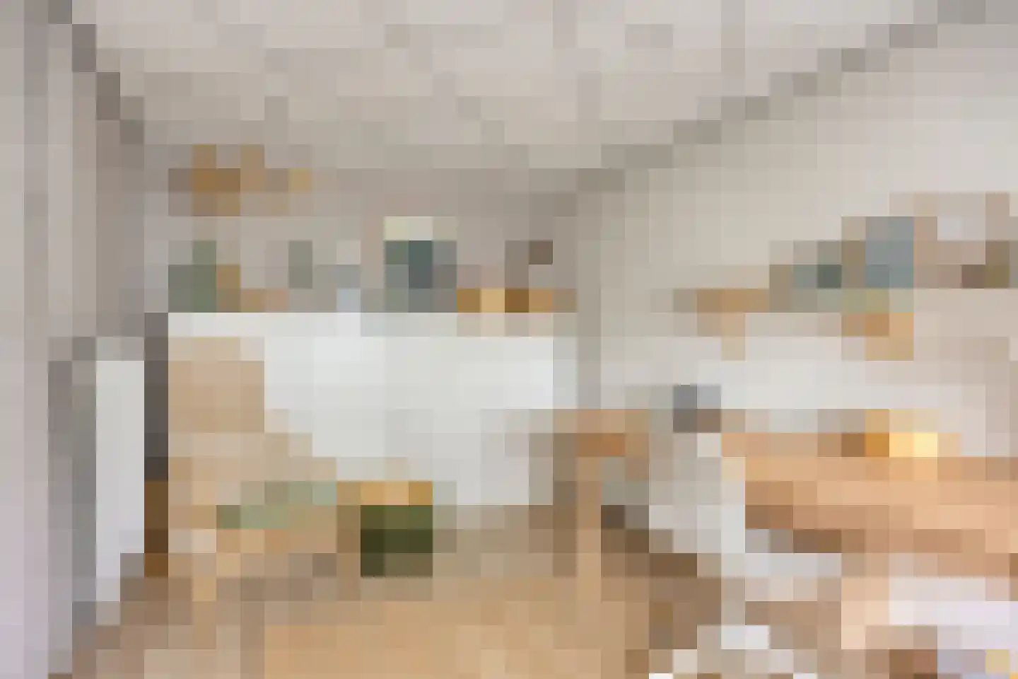 Meeuwstraat 86 Purmerend thumbnail 30