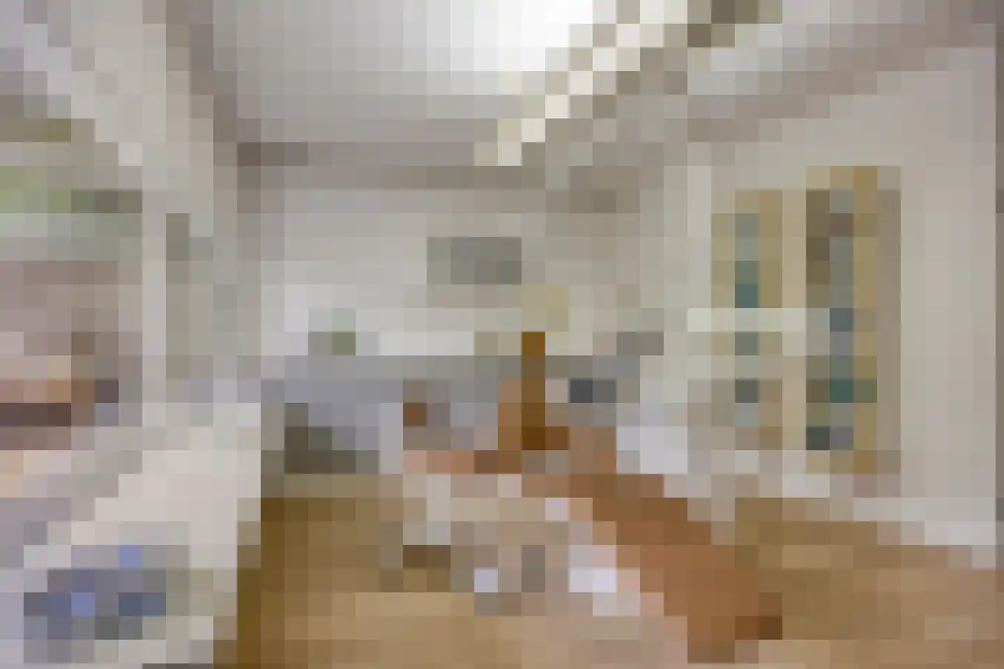 Meeuwstraat 86 Purmerend thumbnail 32