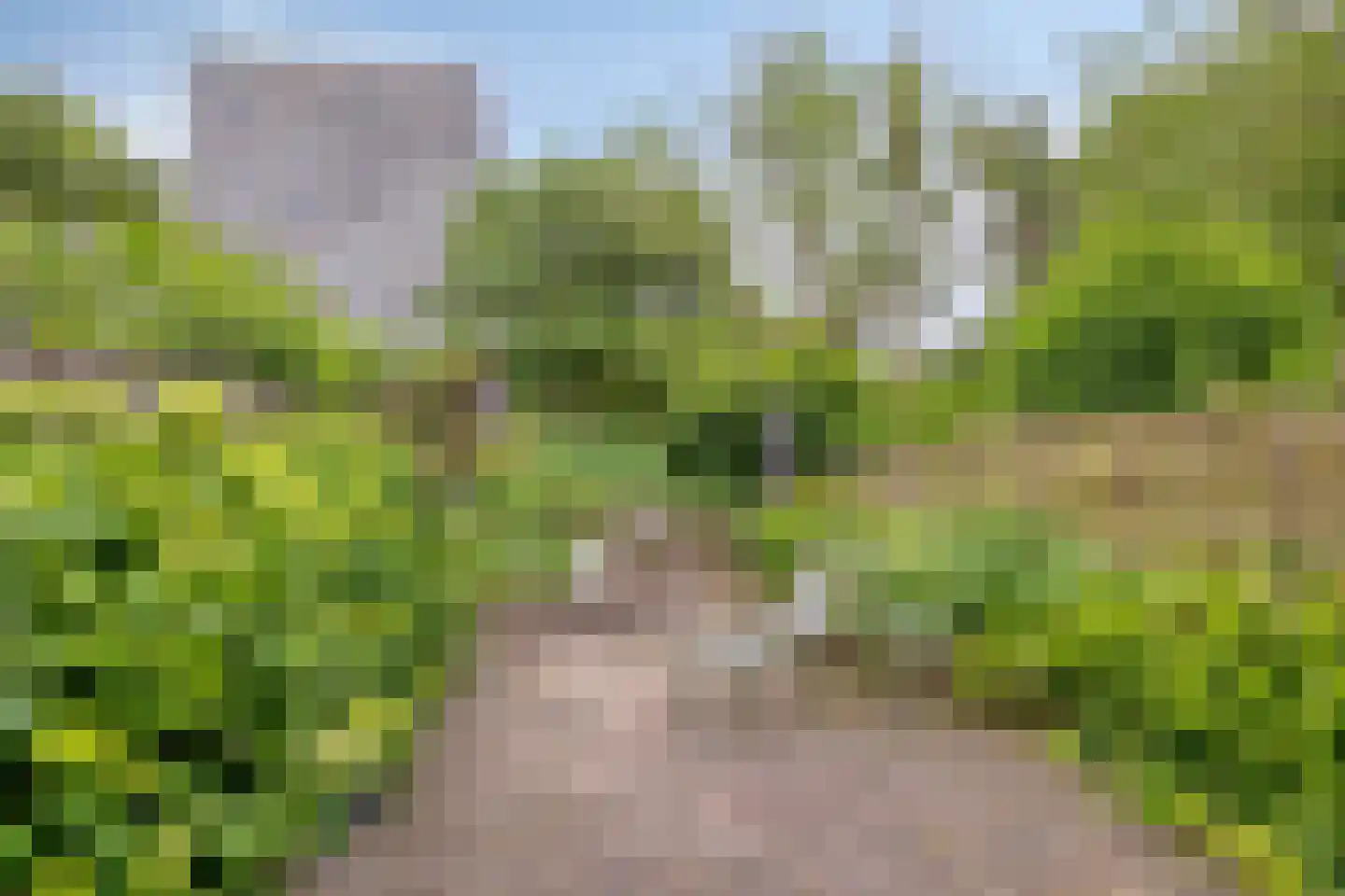 Meeuwstraat 86 Purmerend thumbnail 36
