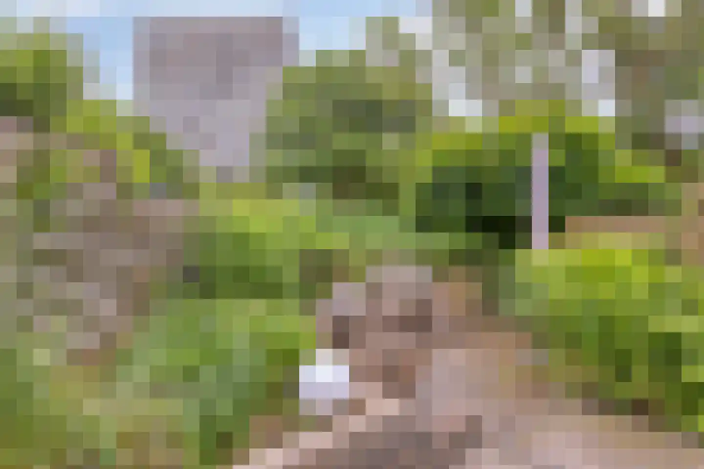 Meeuwstraat 86 Purmerend thumbnail 37